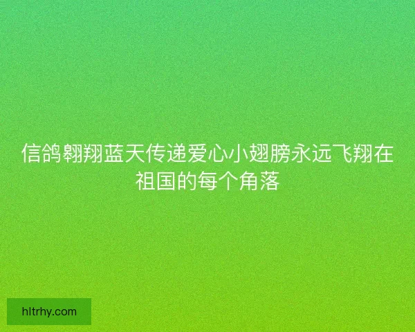 信鸽翱翔蓝天传递爱心小翅膀永远飞翔在祖国的每个角落